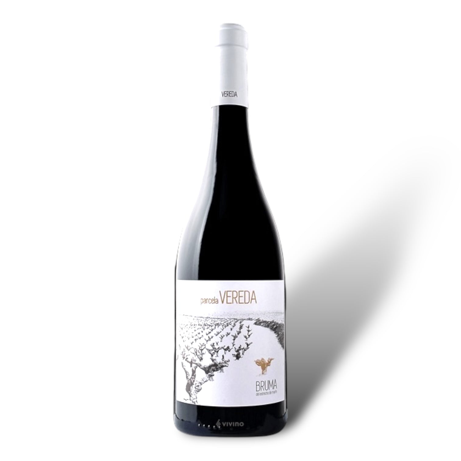Vina Elena, Bruma del Estrecho de Marin, Parcela Vereda, DO Jumilla, Spain, 2020