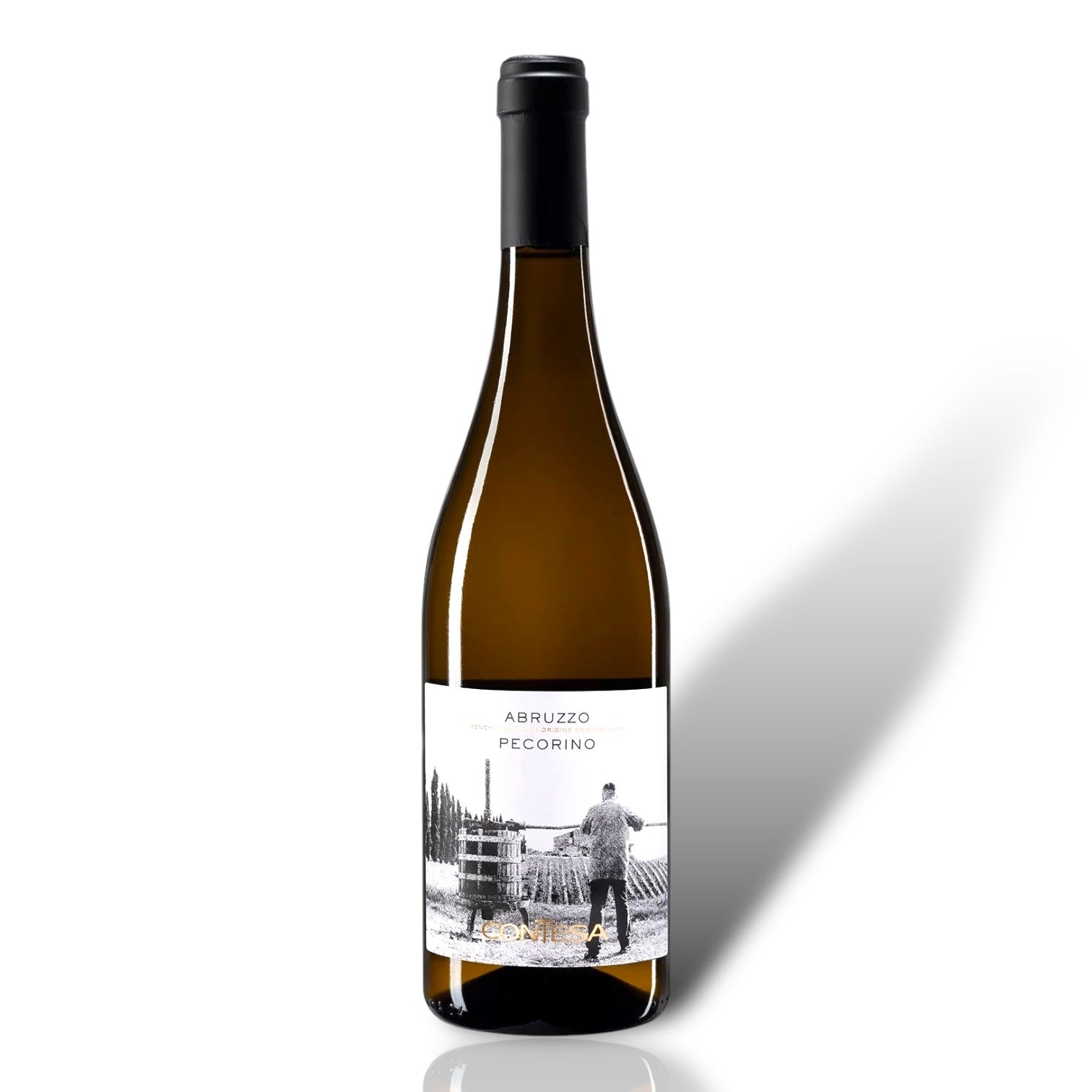 Contesa Abruzzo Pecorino 2022