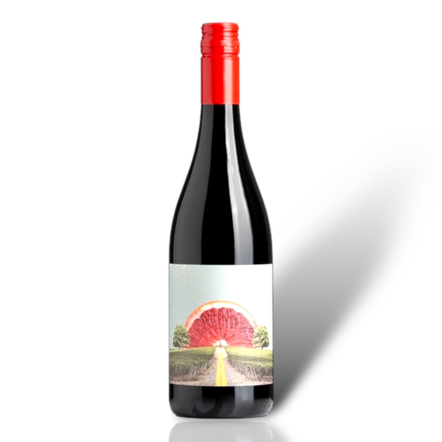 Ville Timisulu Solara 'Red' 2023
